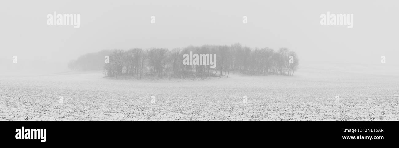 Fotografia di alberi e di un campo agricolo durante una tempesta di neve. Madison, Wisconsin, Stati Uniti. Foto Stock