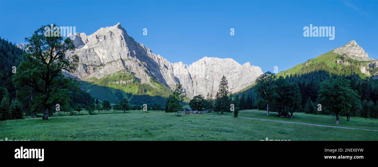 Il panorama mattutino delle pareti nord dei monti Karwendel - pareti di Spritzkar spitze e Grubenkar spitze da Enger alto - Grosser Ahornboden muro Foto Stock
