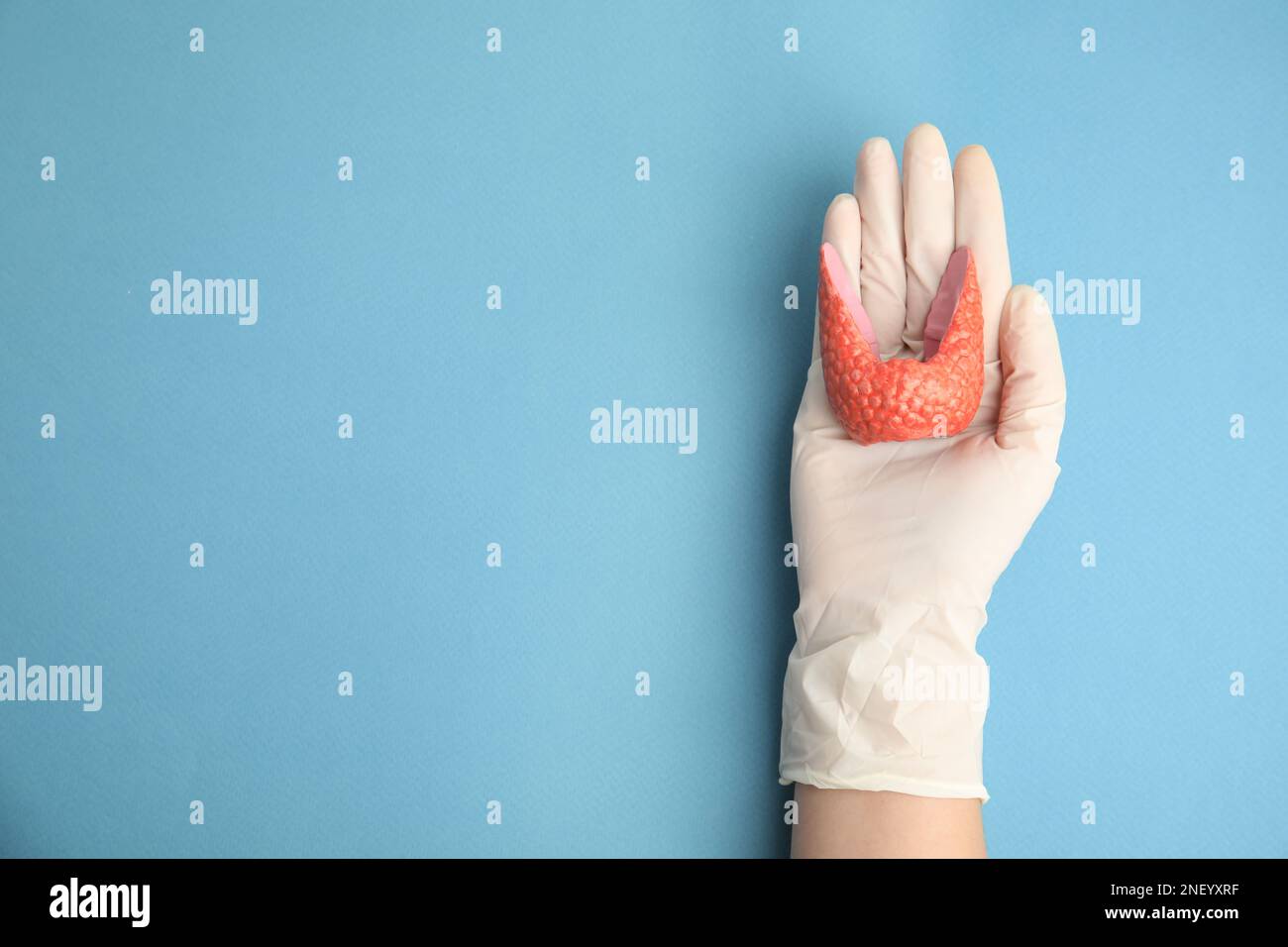 Medico tenendo modello di plastica di tiroide sano su sfondo azzurro, vista dall'alto. Spazio per il testo Foto Stock