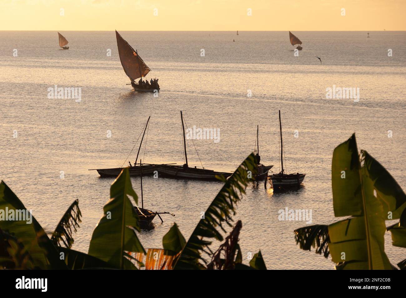 I dhows di mattina presto salpano da Mocimboa da Praia, verso nord per le attività di giorno il 5th luglio 2012. Foto Stock