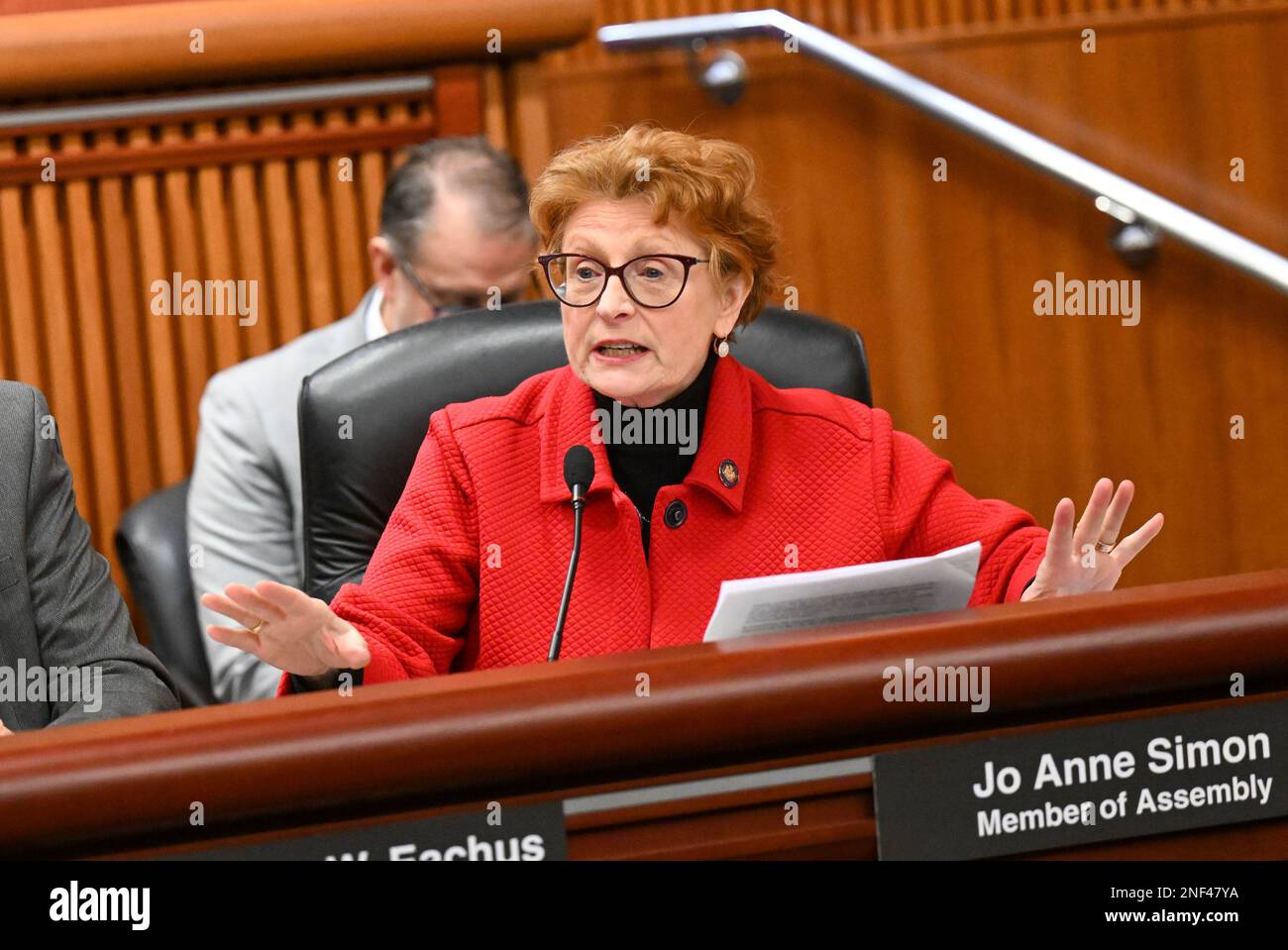 Albany, New York, Stati Uniti. 15th Feb, 2023. L'Assemblywoman JO ANNE SIMON, D- Brooklyn, interroga il sindaco di New York Eric Adams durante un'audizione congiunta sul bilancio legislativo del governo locale mercoledì 15 febbraio 2023 ad Albany, N.Y. (Credit Image: © Hans Pennink/ZUMA Press Wire) SOLO PER USO EDITORIALE! Non per USO commerciale! Foto Stock