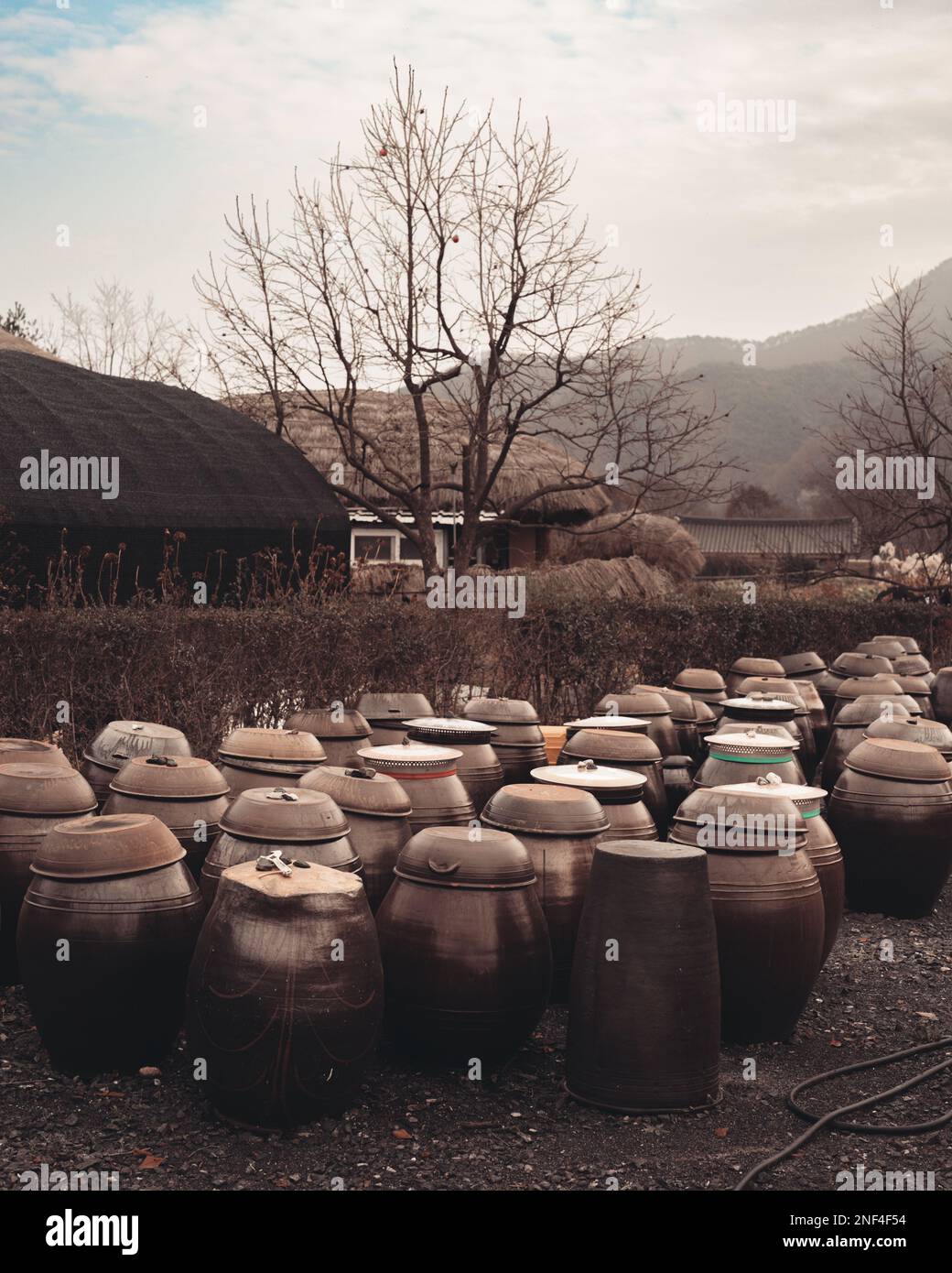 File di pentole di argilla fermentando vari alimenti al Villaggio Folkloristico di Hahoe ad Andong, Corea del Sud. Foto Stock