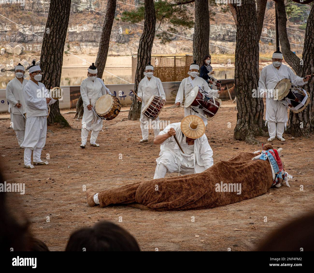 Un macellaio in un gioco tradizionale coreano taglia il cuore di una mucca all'Hohoe Folk Village ad Andong, Corea del Sud. Foto Stock