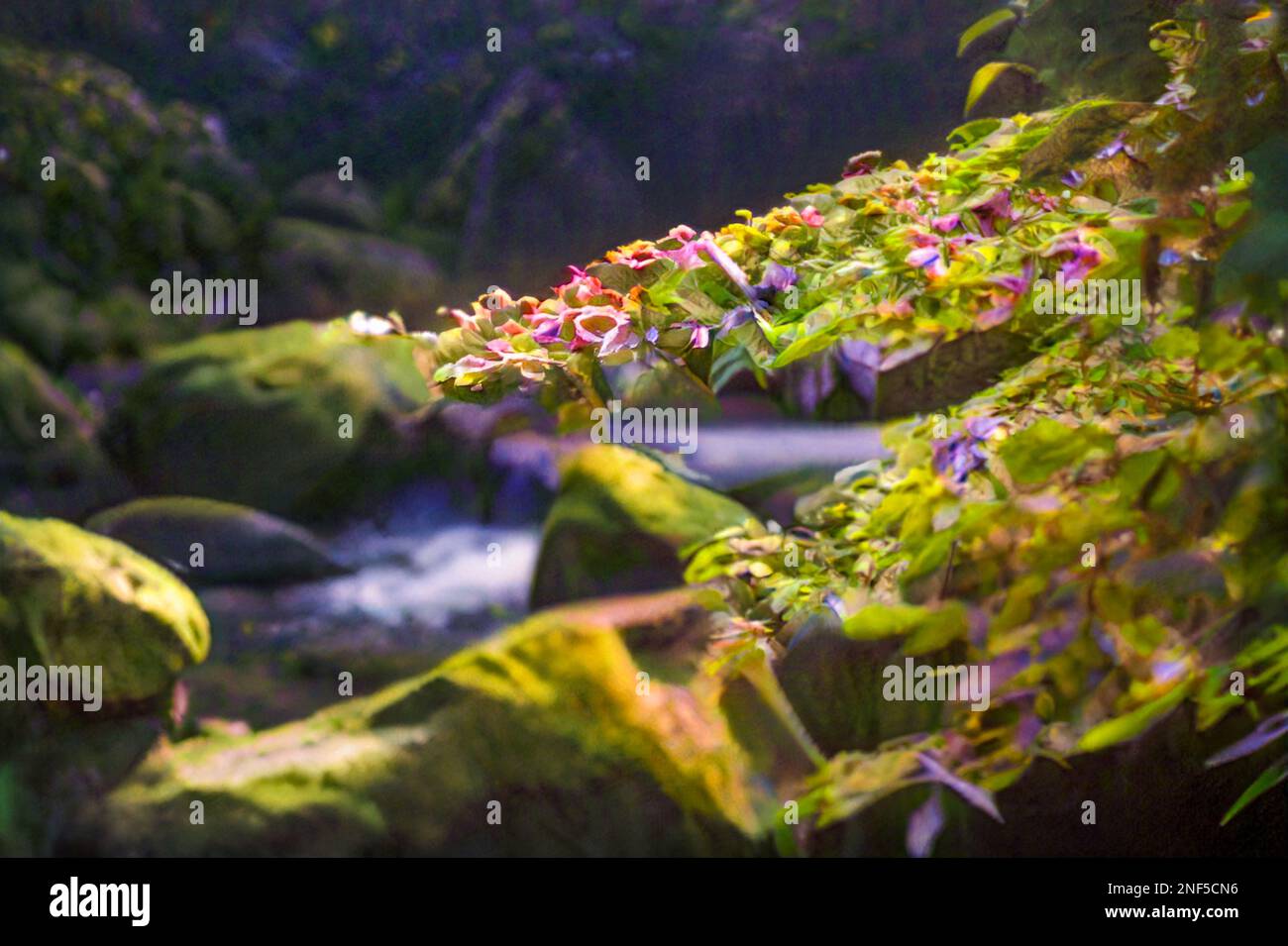 Ruscelli babbling e rocce mossy. Fiori e foglie in primo piano. La vista fantasy della valle del torrente. Ai computer Graphic. Foto Stock