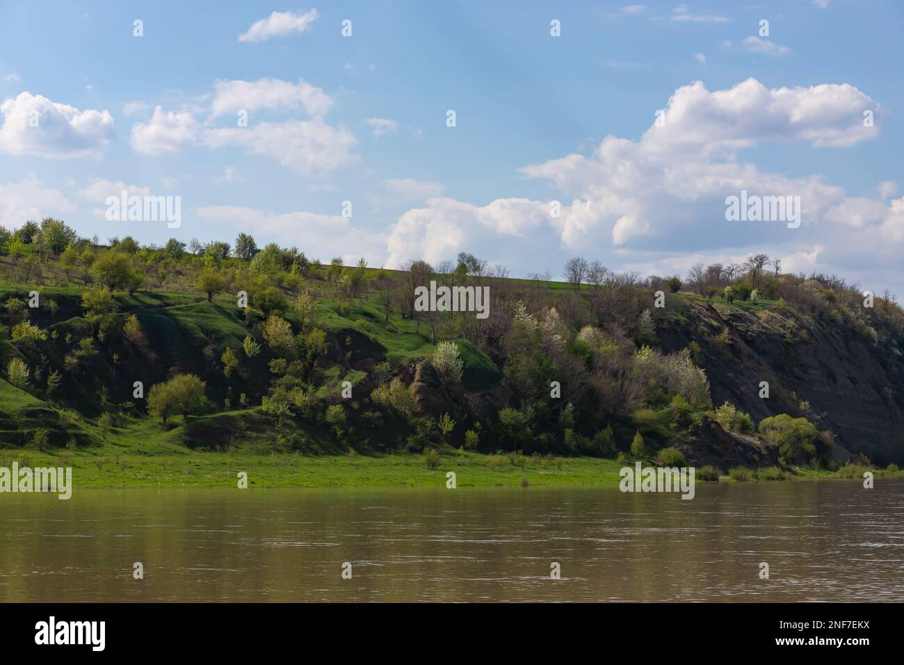 Vista sul fiume Dniester in primavera. Il fiume circonda i pendii di montagna ricoperti da una lussureggiante e luminosa vegetazione verde. Foto Stock