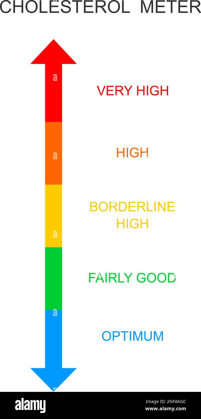 Scala verticale del misuratore di colesterolo. Tabella dei rischi di aterosclerosi, iperlipidemia, ipercolesterolemia. Livelli di lipoproteine da ottimale a molto elevato isolato su sfondo bianco. Illustrazione piatta vettoriale Illustrazione Vettoriale