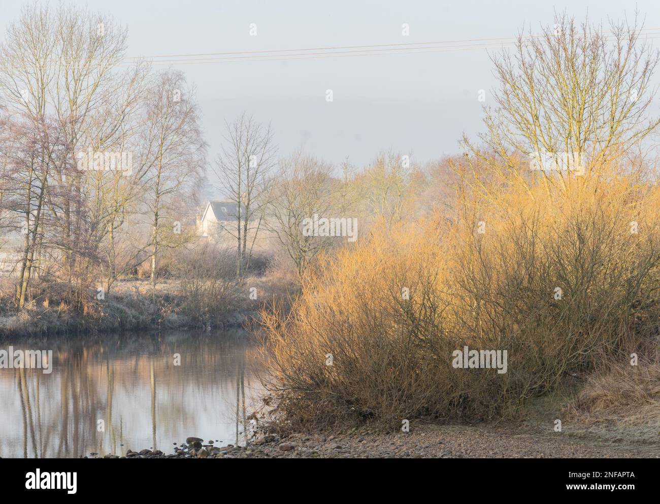Fiume South Tyne a Haltwhistle in inverno Foto Stock