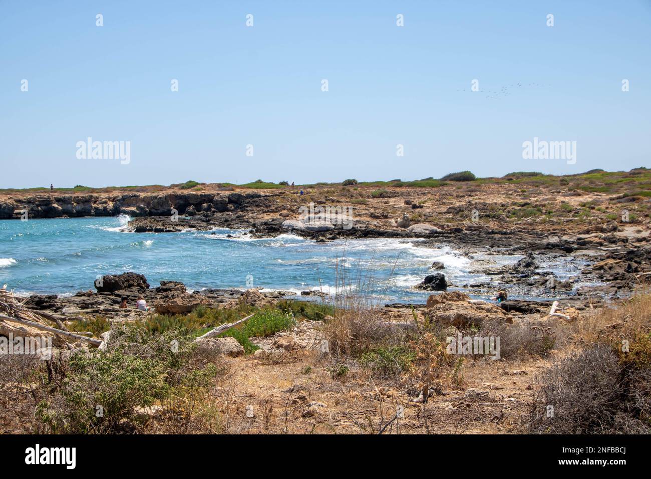 Il percorso tra mare e laguna nell'oasi faunistica della Riserva Naturale di Vendicari, situata tra noto e Marzamemi, Sicilia, Italia Foto Stock