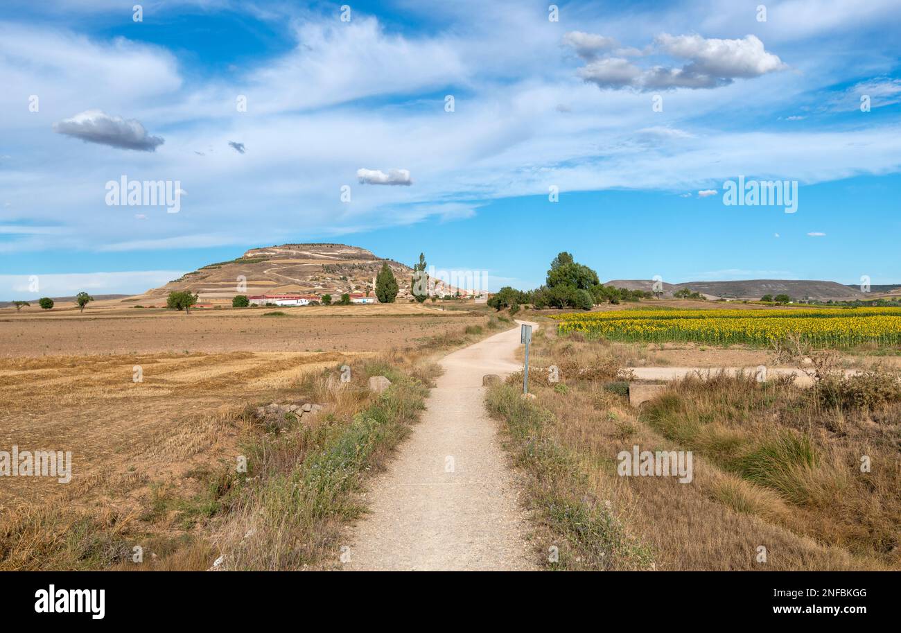 Vista attraverso il bellissimo paesaggio arido verso Castrojeriz, una città spagnola sul Camino de Santiago nella provincia di Burgos, Spagna Foto Stock