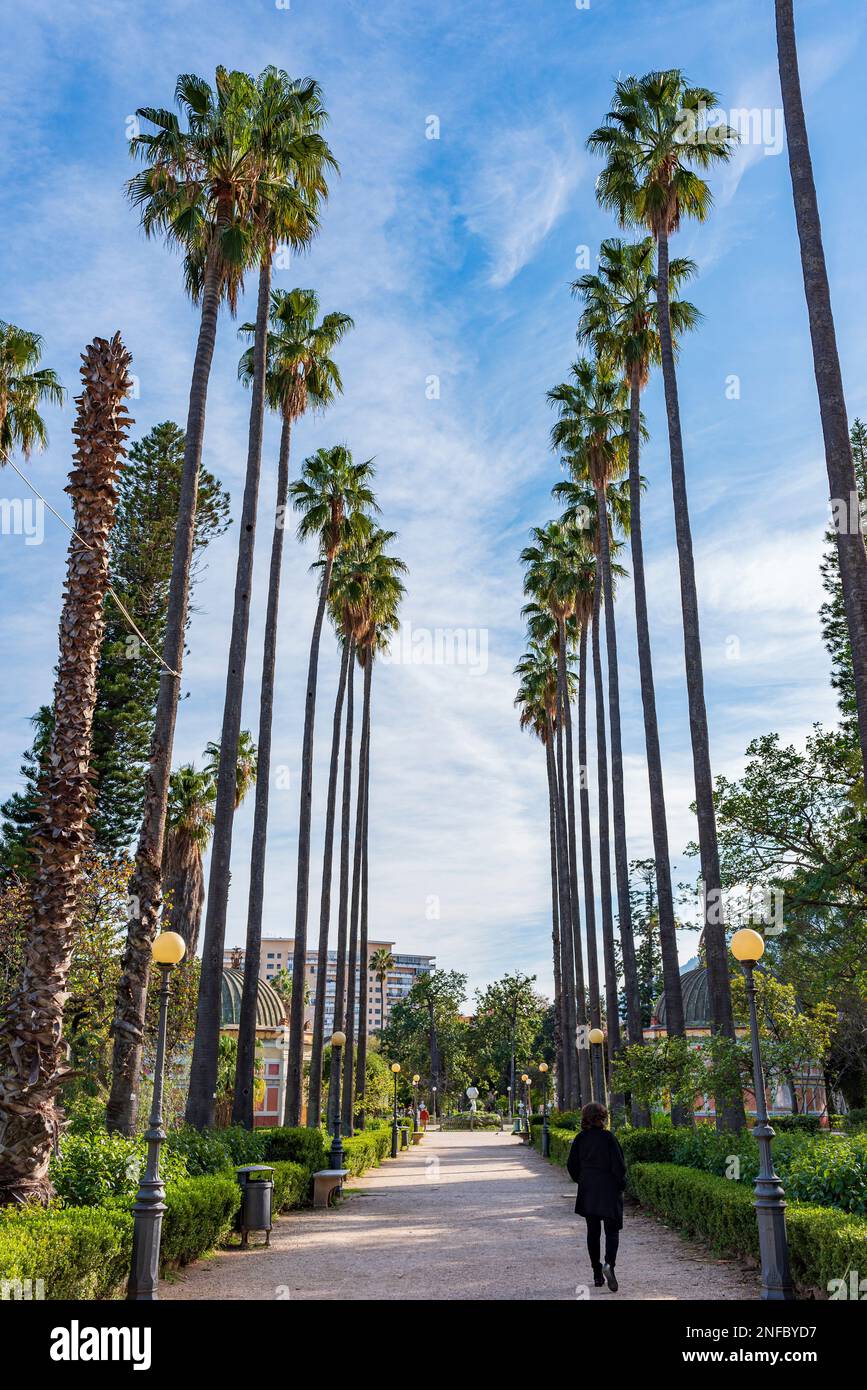 Viale con palme nel parco di Villa Giulia, Palermo Foto Stock