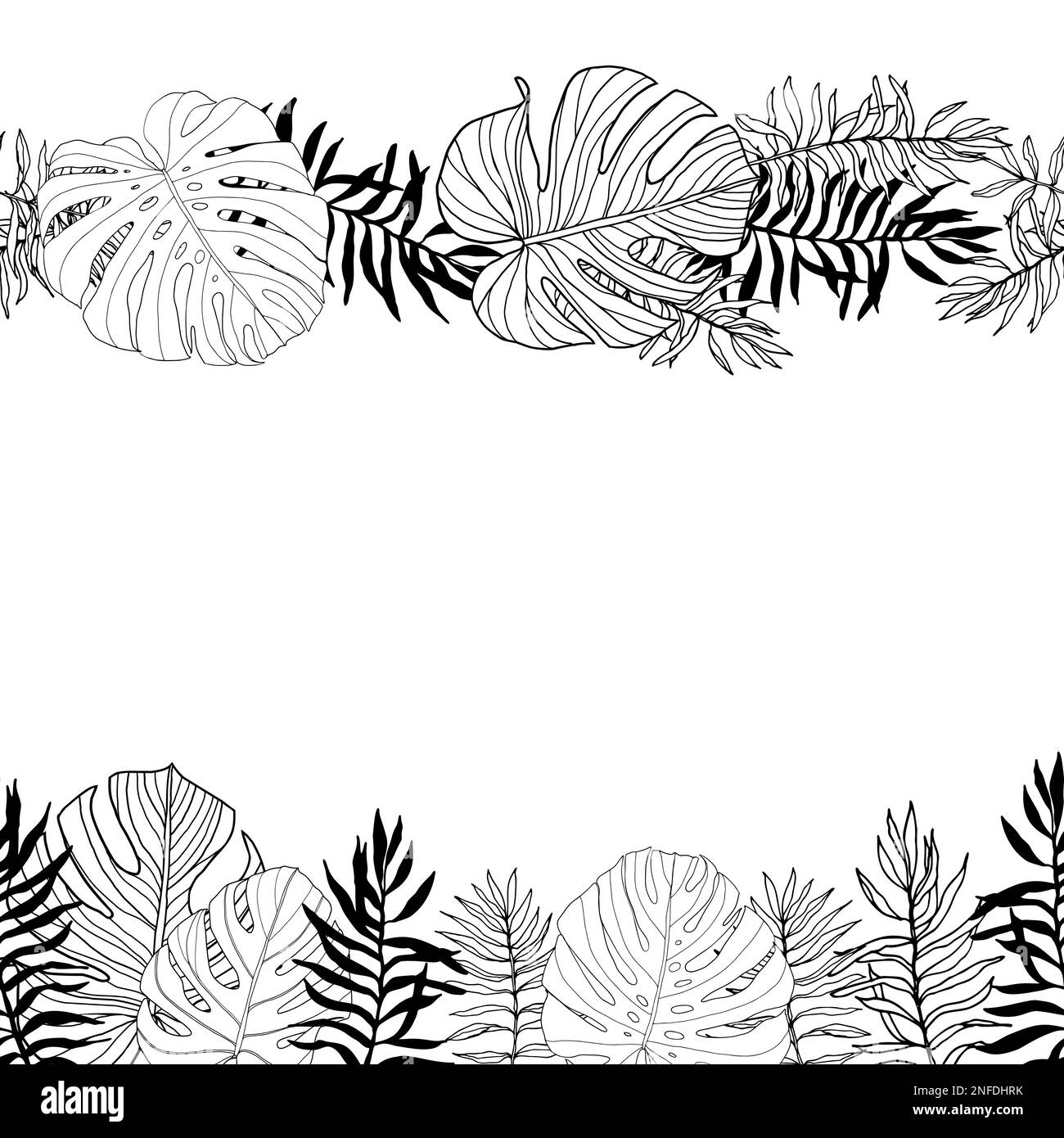cornice con foglie tropicali, giungla, disegnata a mano, bianco e nero senza cuciture boarder Illustrazione Vettoriale