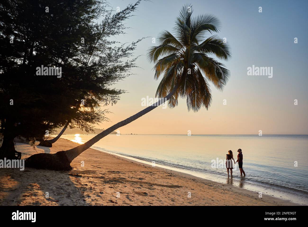 Felice coppia in silhouette sulla spiaggia tropicale vicino alla palma dell'isola di Phi Phi nel sud della Thailandia. Concetto di vacanza rivista di viaggi. Foto Stock