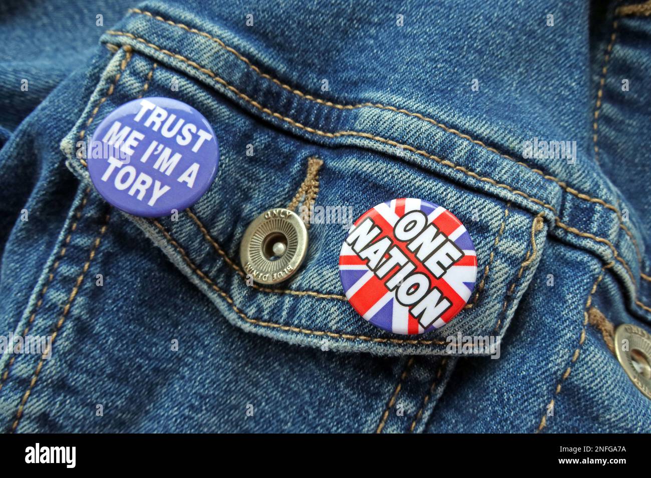 Potete fidarsi dei Tories per mantenere & proteggere una Gran Bretagna di una nazione o distruggerla per il Regno Unito? Foto Stock