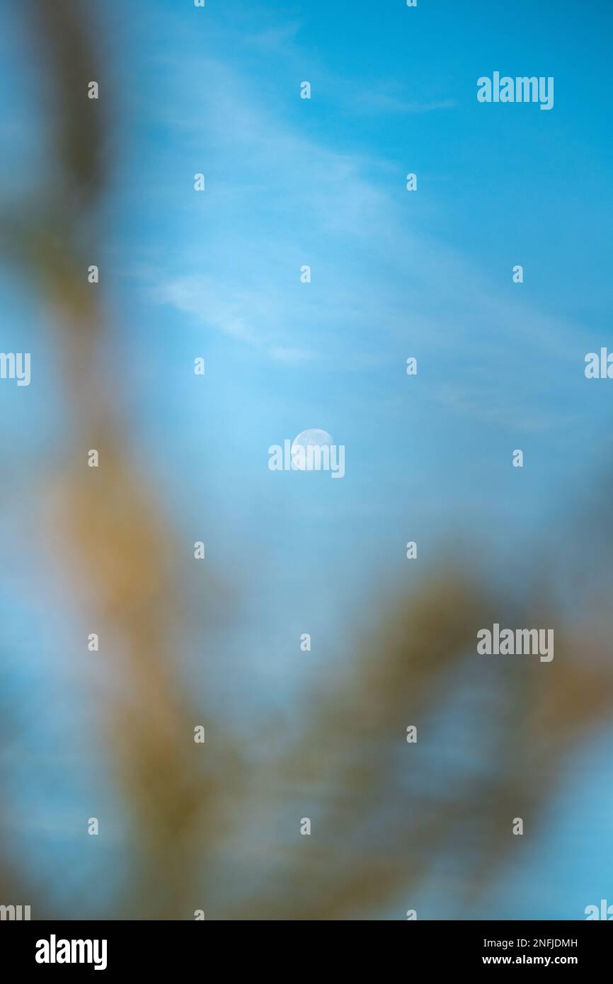 Resti del nostro prezioso compagno in un mondo oscuro pieno di stelle. La luna al sole del mattino. Foto Stock