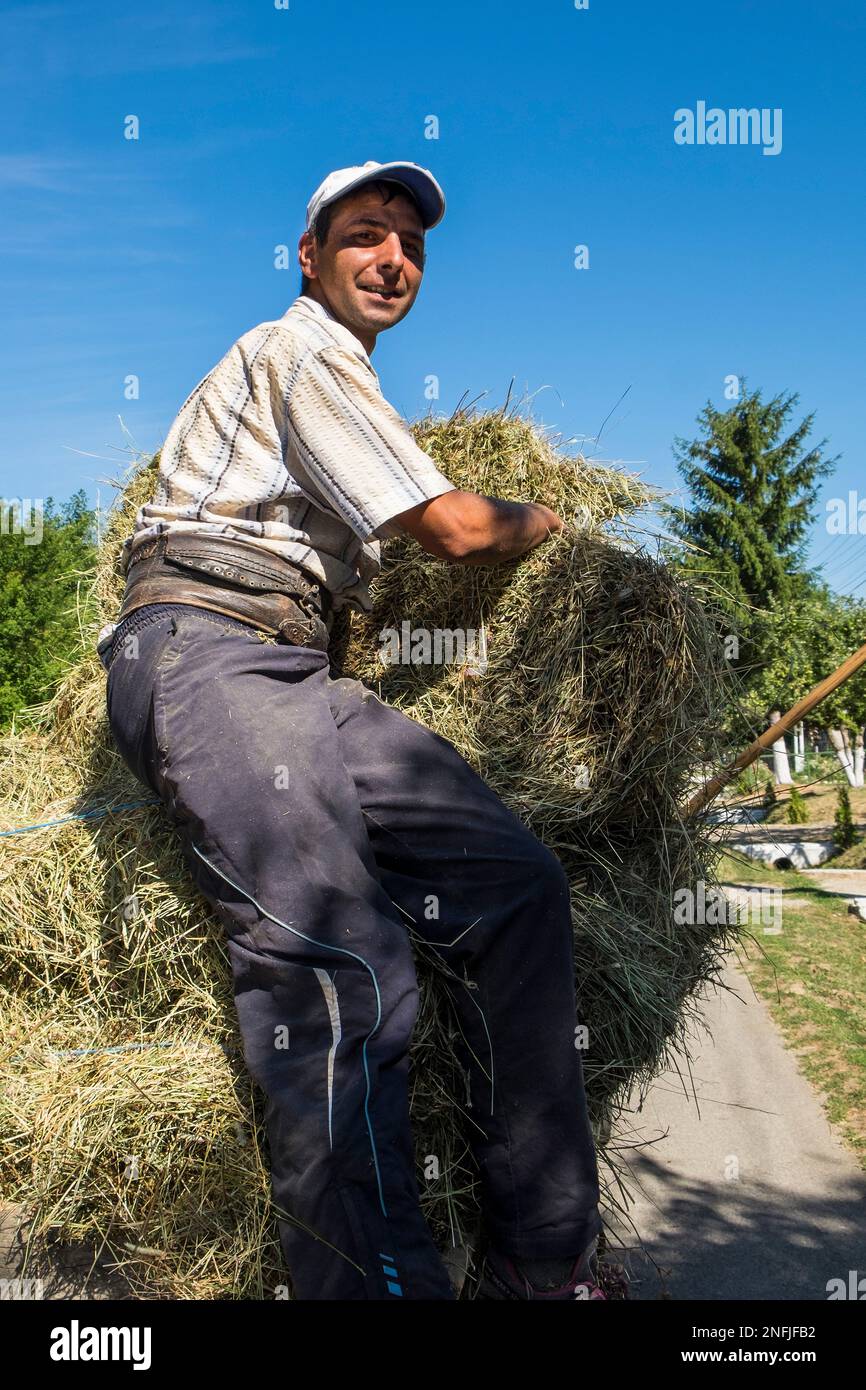 Romania. Transilvania. Dorolea. la vita quotidiana in campagna Foto Stock