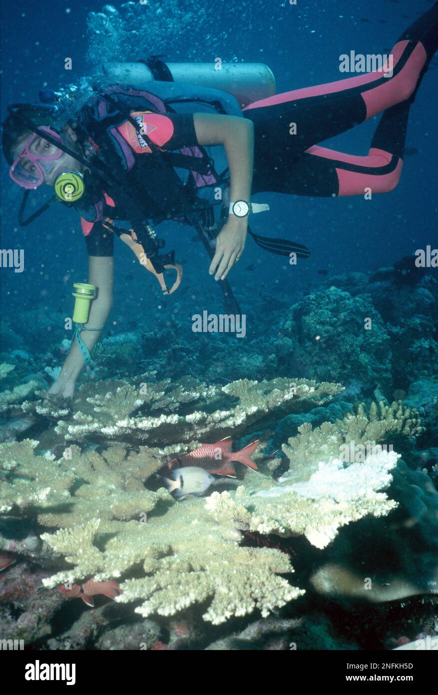 Maldive. Giovane donna subacquea Scuba. Foto Stock