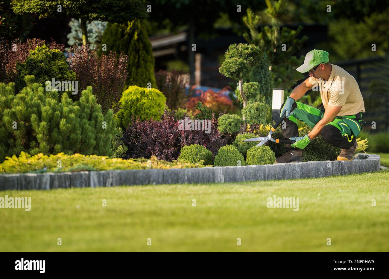 Giardiniere professionale taglio e rifilatura arbusti decorativi e cespugli con l'attrezzo forbici da giardino. Foto Stock