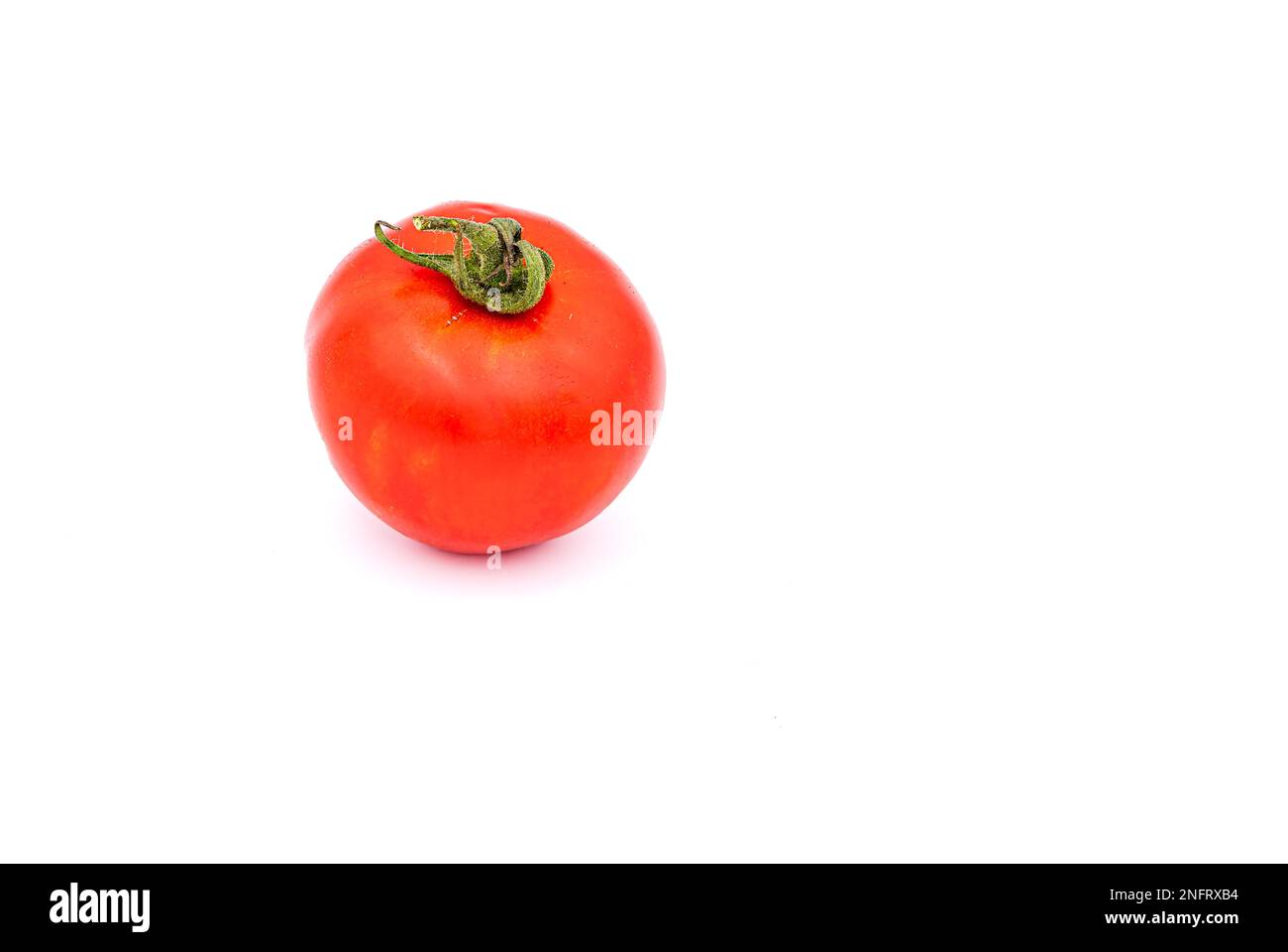 Un caratteristico pomodoro rosso di vite con un gambo come vegetale popolare e sano isolato su uno sfondo bianco Foto Stock
