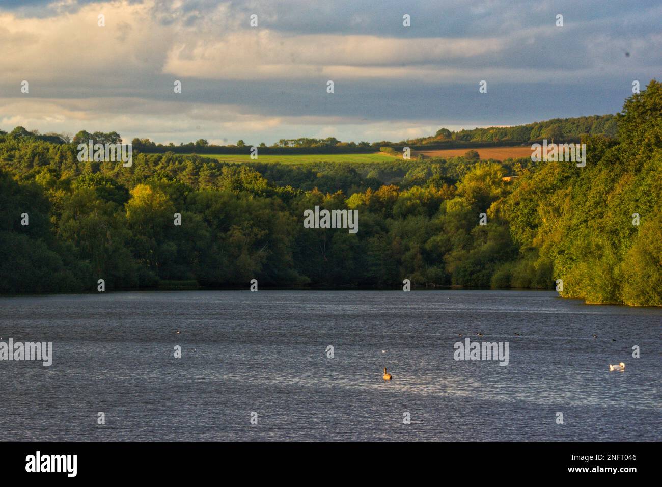 Una fotografia scattata nel settembre del 2022 guardando attraverso Moorgreen Reservoir nel Nottinghamshire verso i paesaggi ondulati di Felly. Foto Stock