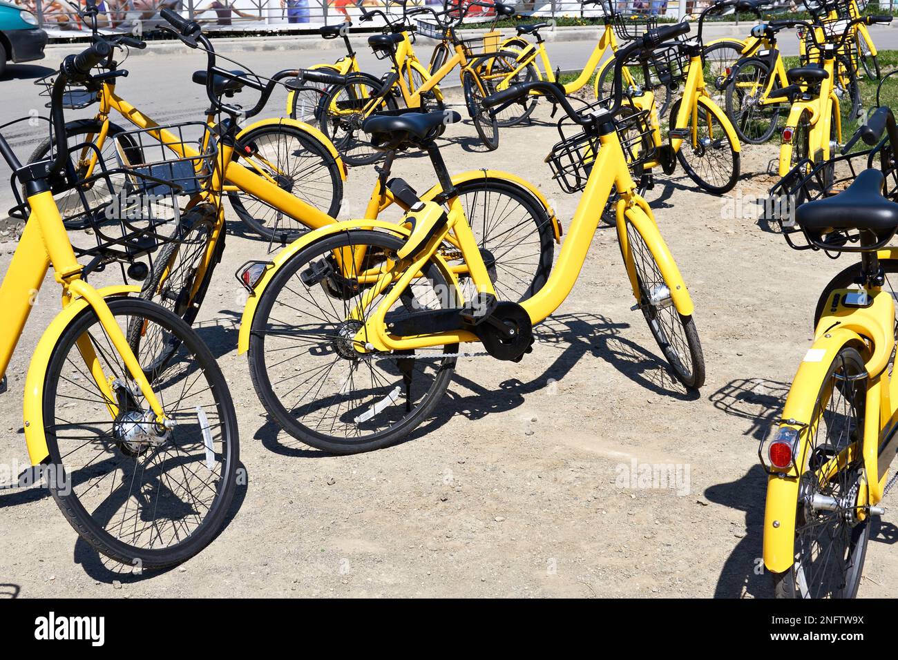 Biciclette gialle in affitto nelle giornate di sole Foto Stock