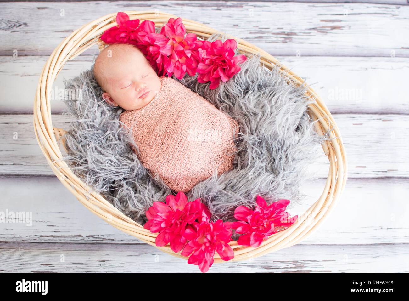 Piccolo neonato caucasico travollato in una cavalcata rosa che dorme in un cesto su una pelliccia Foto Stock