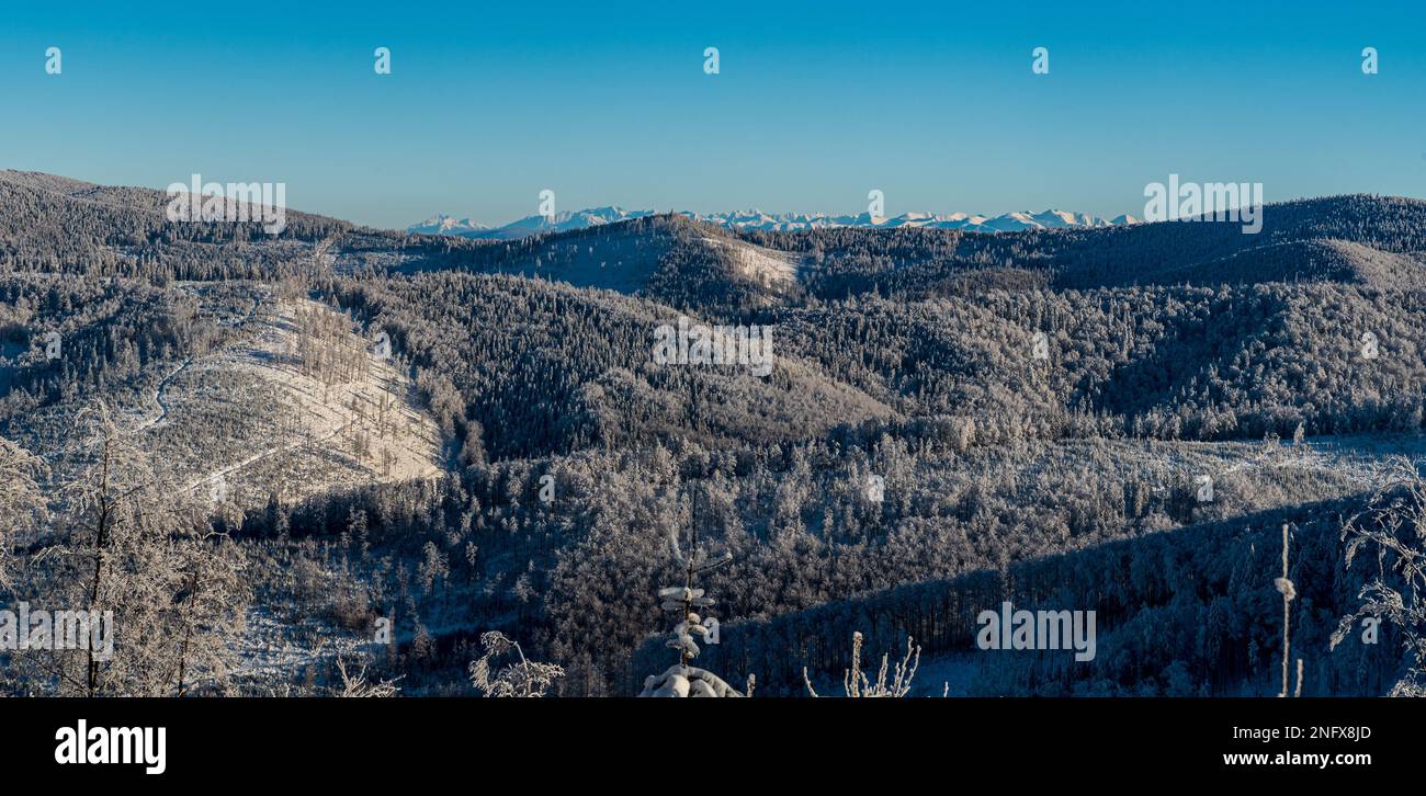 Colline più vicine delle montagne Beskid e Tatra sullo sfondo durante il giorno d'inverno con cielo limpido - vista dal sentiero escursionistico alla collina di Velka Raca Foto Stock