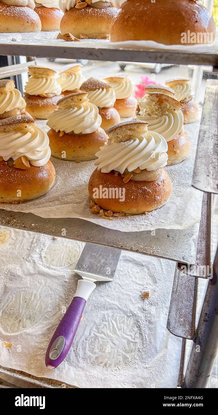 Deliziosa semla appena sfornata o fastlagsbulle o laskiaispulla o vastlakukkel o fastelavnsbolle Foto Stock