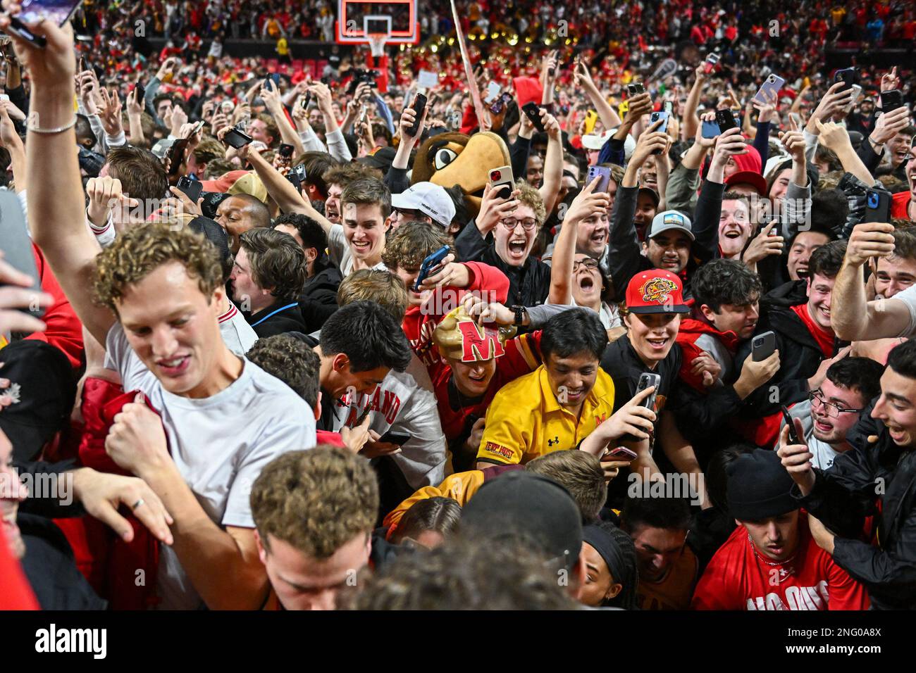 College Park, Maryland, Stati Uniti. 16th Feb, 2023. Gli studenti del Maryland si precipitano sul pavimento dopo la partita di basket NCAA tra i Purdue Boilermakers e i Maryland Terrapins allo Xfinity Center a College Park, MD. Reggie Hildred/CSM/Alamy Live News Foto Stock