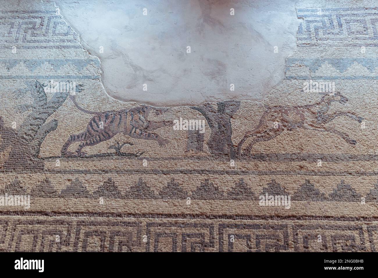 Scena di caccia mosaico in Casa di Dionysos villa romana a Paphos Parco Archeologico a Paphos città, isola di Cipro paese Foto Stock