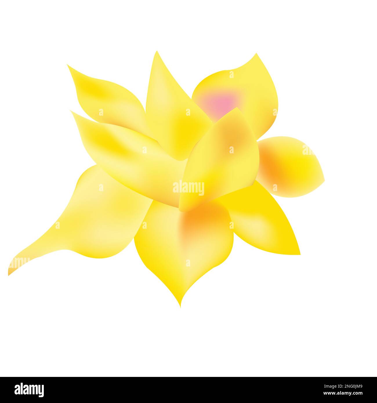 Daffodil fiore realizzato con mesh su sfondo bianco Illustrazione Vettoriale