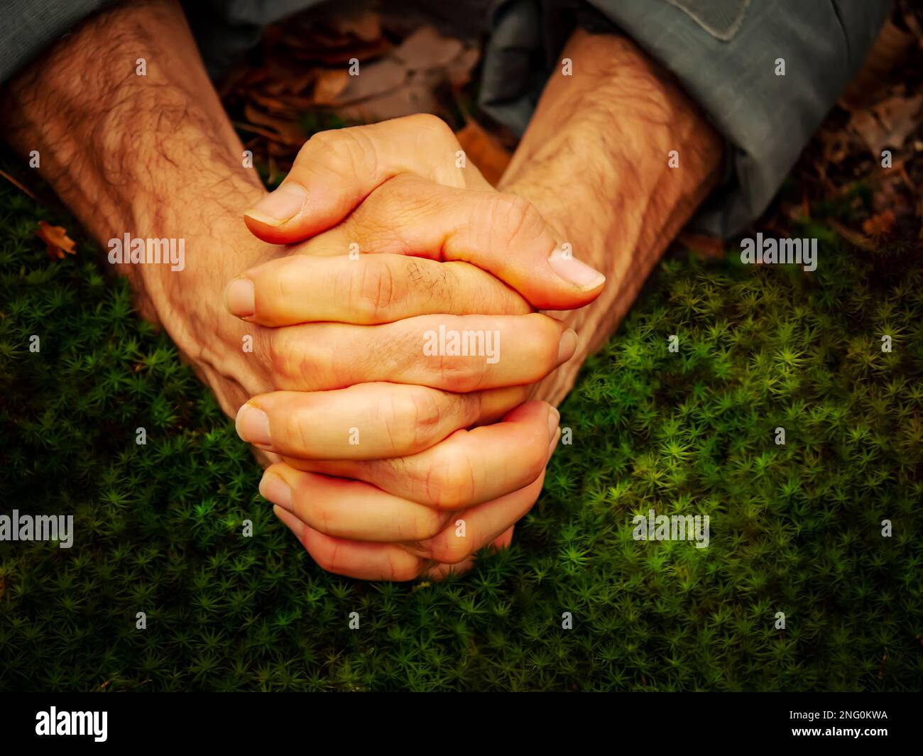 Pregare mano nella natura Foto Stock
