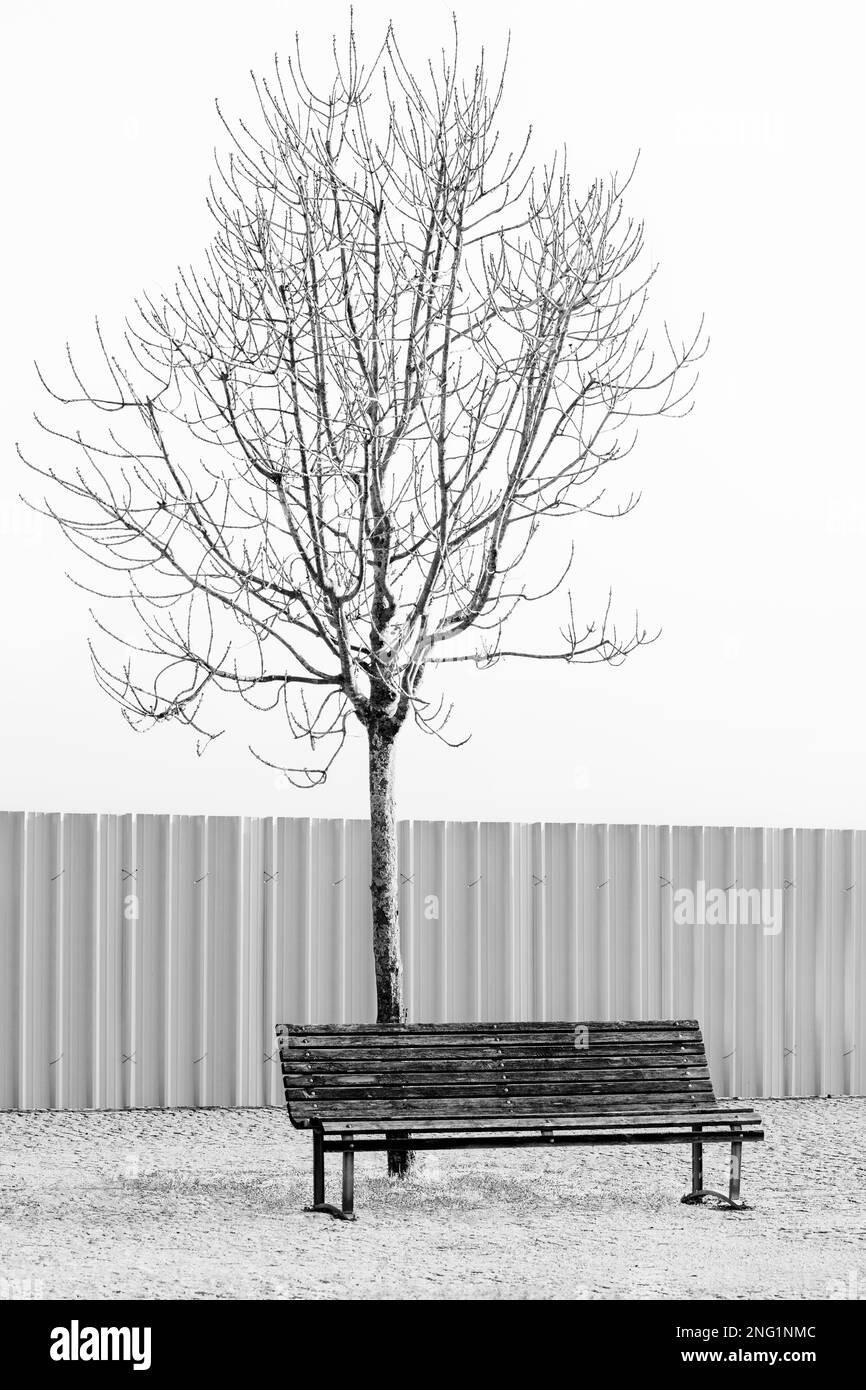 Panca, albero e recinto Foto Stock