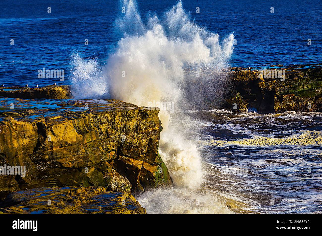 Onda che si schianta a Santa Cruze, California, Oceano Pacifico Foto Stock