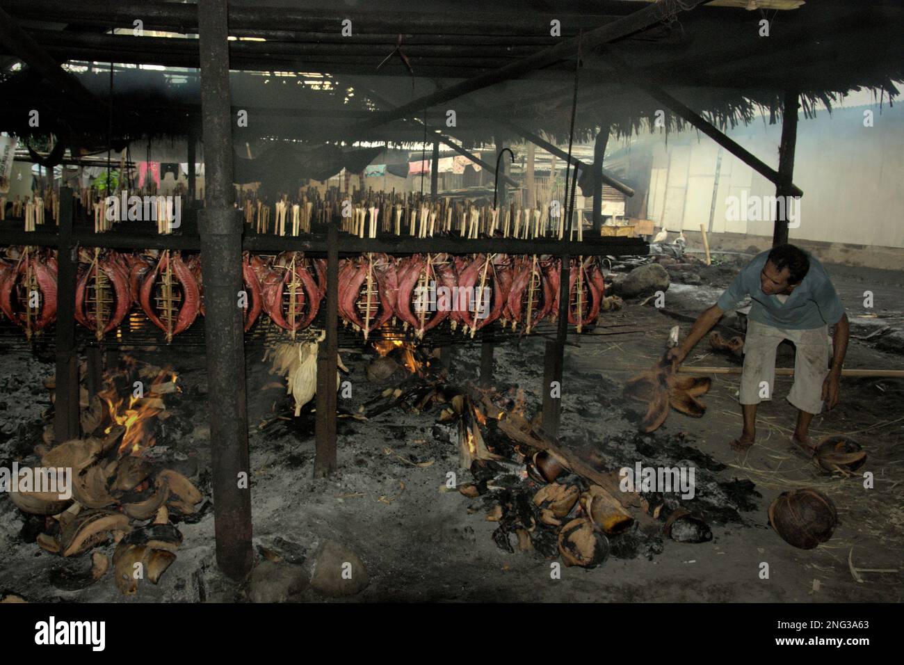 Un lavoratore sta mantenendo la distribuzione di buccia di cocco che brucia che è usato come combustibile per fumare le carni di tonno di skipjack ad un'industria domestica in Bitung, Sulawesi del nord, Indonesia. Secondo la FAO nel loro ultimo rapporto (2022), l'Indonesia è il terzo produttore mondiale di animali acquatici per la pesca e l'acquacoltura. Cinque paesi (Cina, India, Indonesia, Vietnam e Perù) sono responsabili di circa il 58% della produzione mondiale. Secondo la relazione, l'Indonesia è anche uno dei paesi in cui gli alimenti acquatici contribuiscono per la metà o più all'assunzione totale di proteine animali. Foto Stock