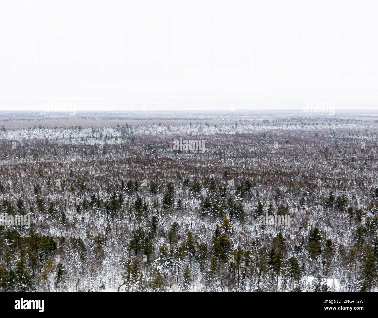 Vista aerea della Foresta Settentrionale in inverno in una giornata nuvolosa e fredda Foto Stock