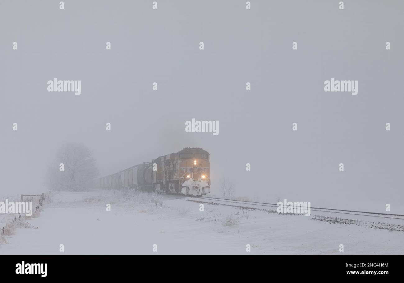 Treno Union Pacific che esce dalla nebbia in una giornata invernale nuvolosa e fredda in Minnesota Foto Stock