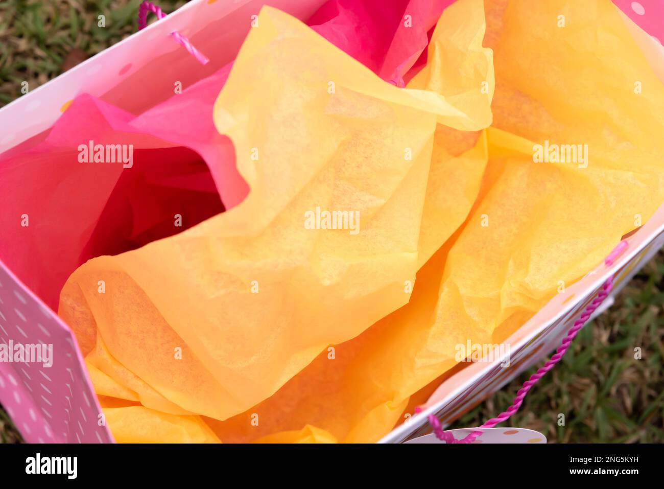 Vista dall'alto della carta di tessuto rosa e gialla nella borsa regalo vuota lasciata sull'erba Foto Stock