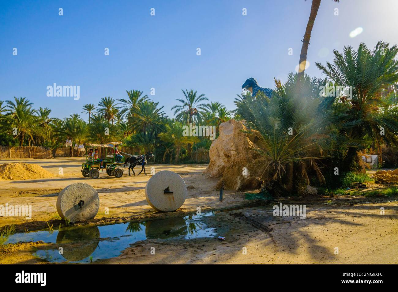Asino e cart vicino date Palms in giungle in oasi Tamerza, deserto del Sahara, Tunisia, Africa. Foto Stock