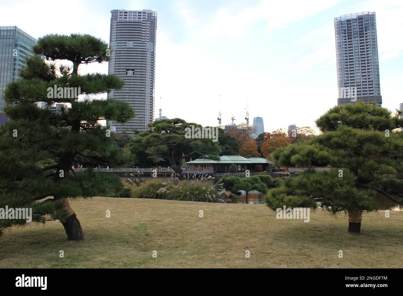 Hama-rikyu Garden a Tokyo, Giappone Foto Stock