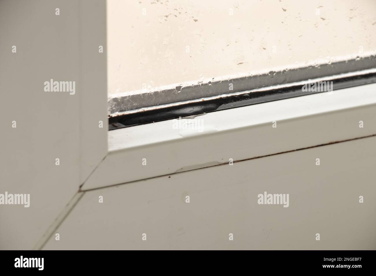 finestra metallo-plastica in un appartamento danneggiato da muffa e primo piano umidità Foto Stock