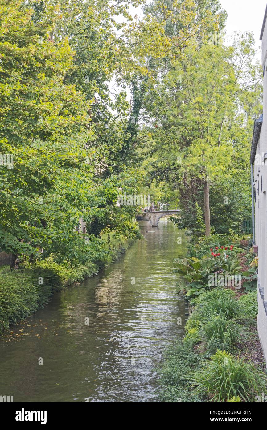 Un canale a Bruges, Fiandre Occidentali, Belgio, Europa, UE Foto Stock