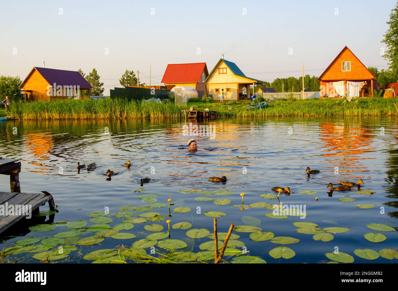 Un uomo soddisfatto in una calotta nuota sul lago tra anatre, sullo sfondo di cottage in giardini in estate in Siberia. Foto Stock