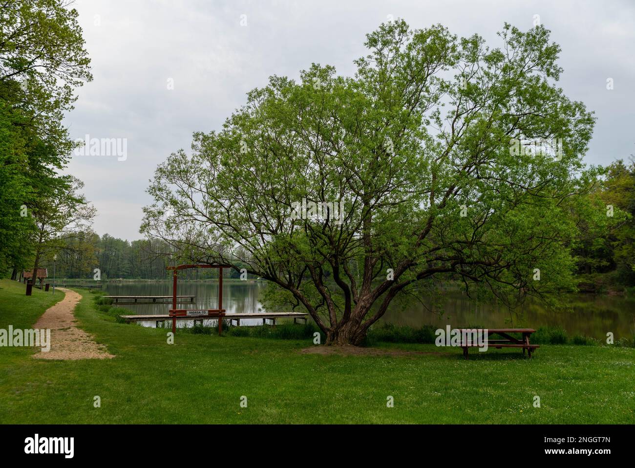 Lago Vadasa nel villaggio di Hegyhatszentjakab. Parte del Parco Nazionale Orseg in Ungheria. Foto Stock