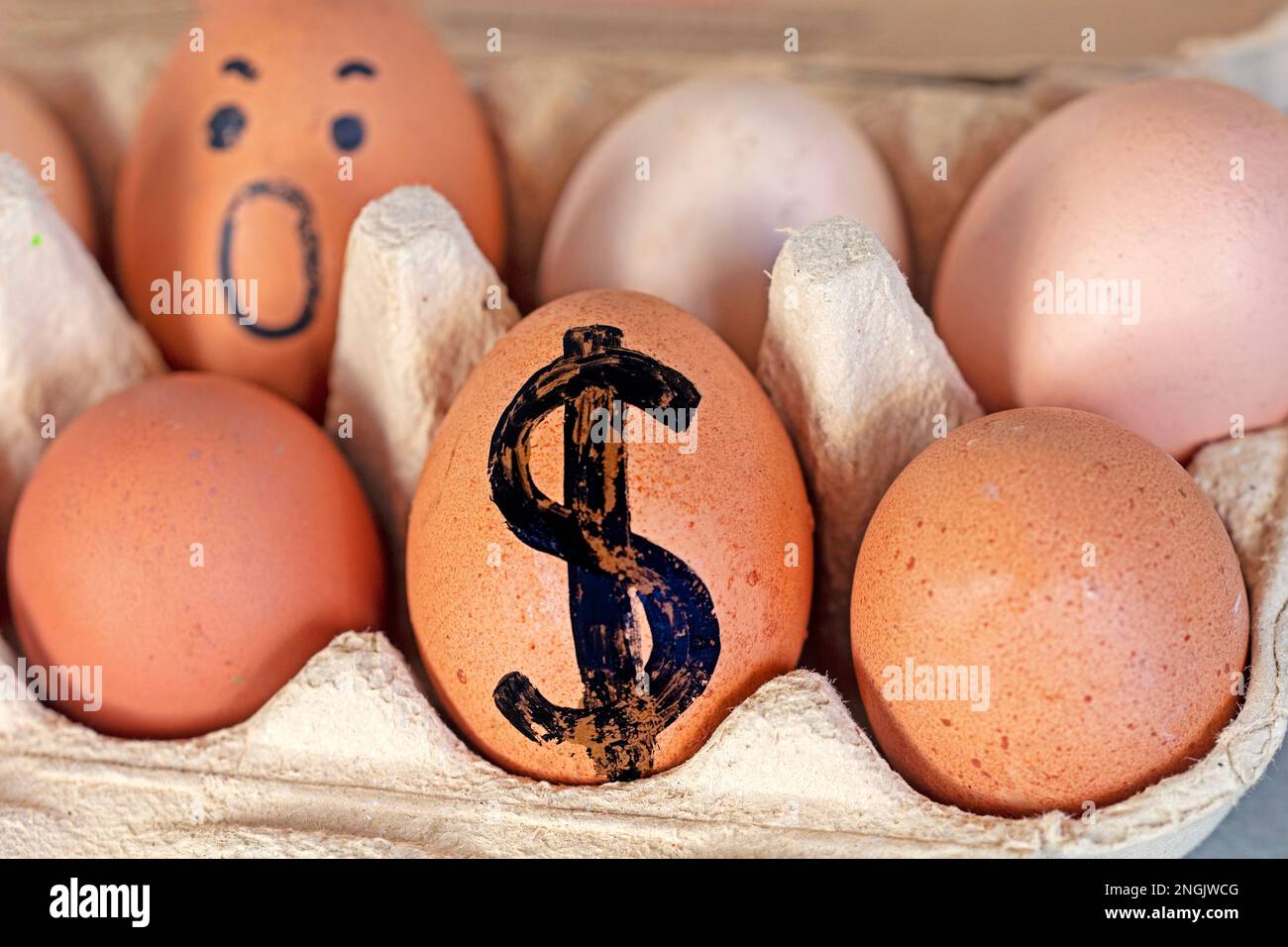 contenitore di cartone con uova e con monete in dollari trafilati. Crisi mondiale Foto Stock