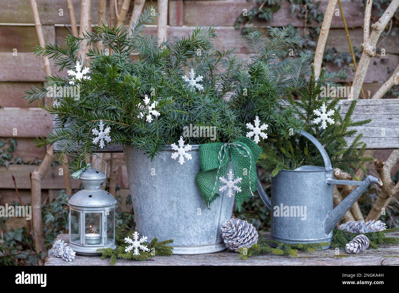 allestimento giardino di natale con rami di tasso in secchio di zinco, decorazioni albero di natale e lanterna d'epoca Foto Stock