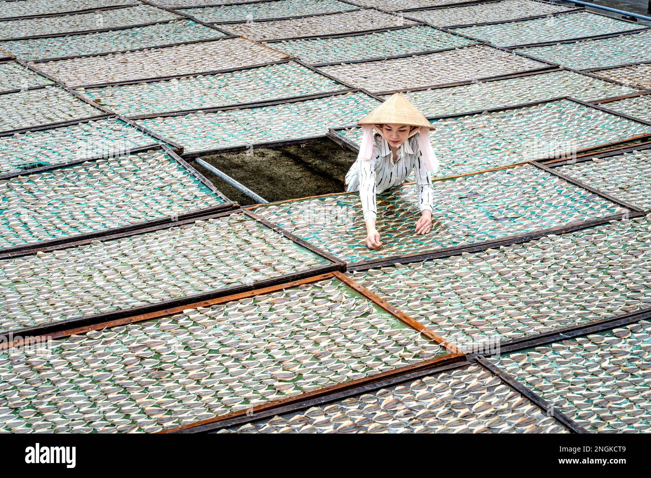 I pescatori di pesce secco post-pescato a Rach Gia City, Kien Giang, Vietnam Foto Stock