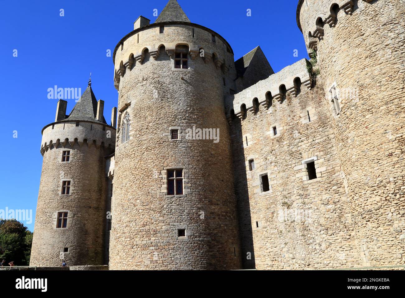 Castello di Suscinio (Chateau de Suscinio), Domaine de Suscinio, Route de Duc Jean V, Suscinio, Morbihan, Bretagna, Francia Foto Stock