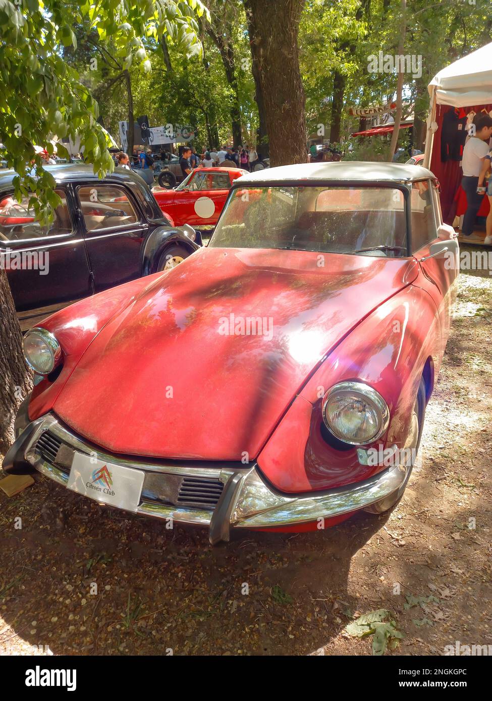 Old Red executive 1960s Citroen ID 19 berlina a quattro porte in un parco. Natura, erba, alberi. Auto classica Autoclasica 2022. CopySpace Foto Stock