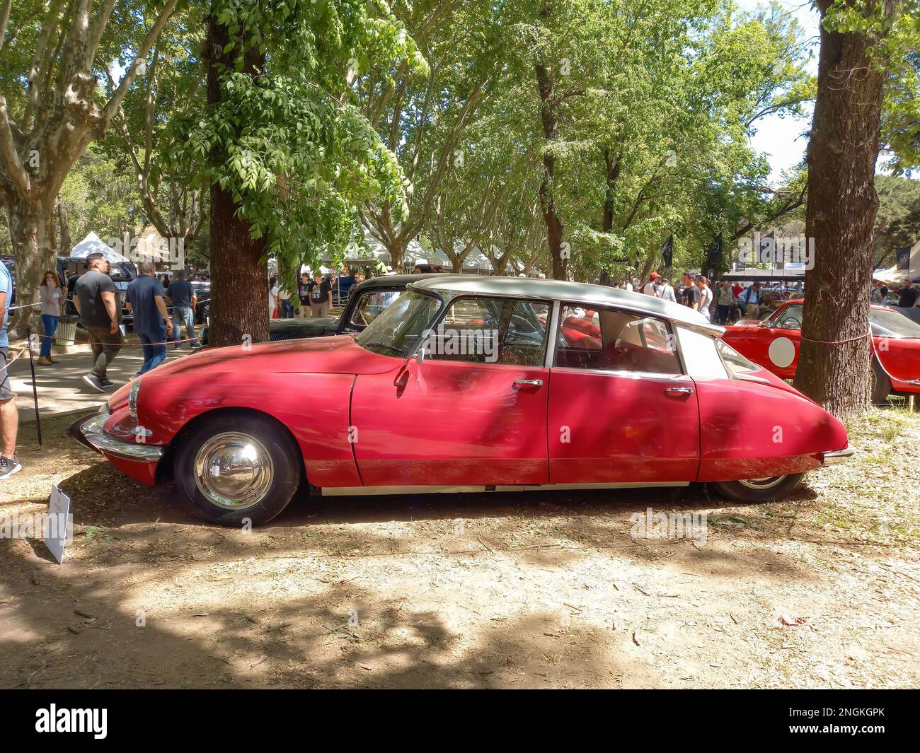 Old Red executive 1960s Citroen ID 19 berlina a quattro porte in un parco. Natura, erba, alberi. Auto classica Autoclasica 2022. CopySpace Foto Stock