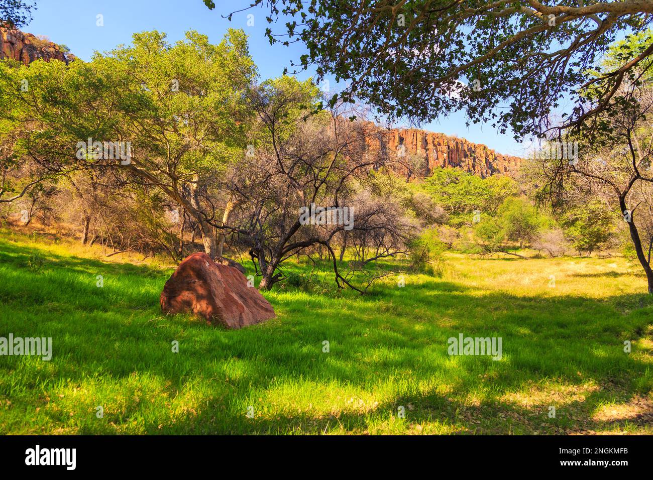 Parco Nazionale dell'Altopiano di Waterberg, Kalahari, Otjiwarongo, Namibia, Africa. Bellissimo paesaggio africano. Formazione di roccia. Foto Stock